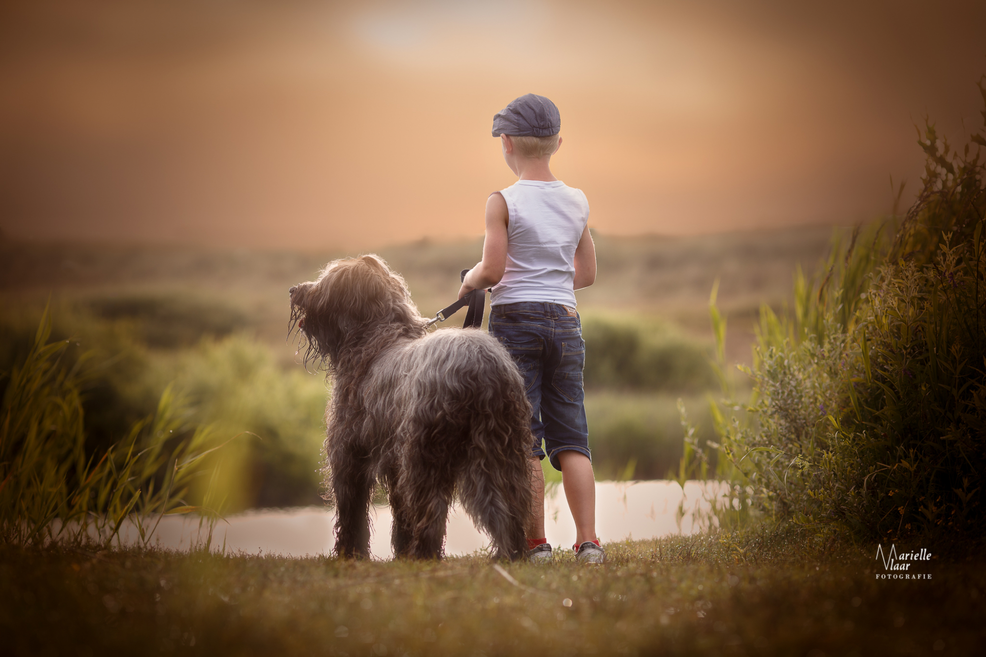 Hondenfotograaf met kind en dier