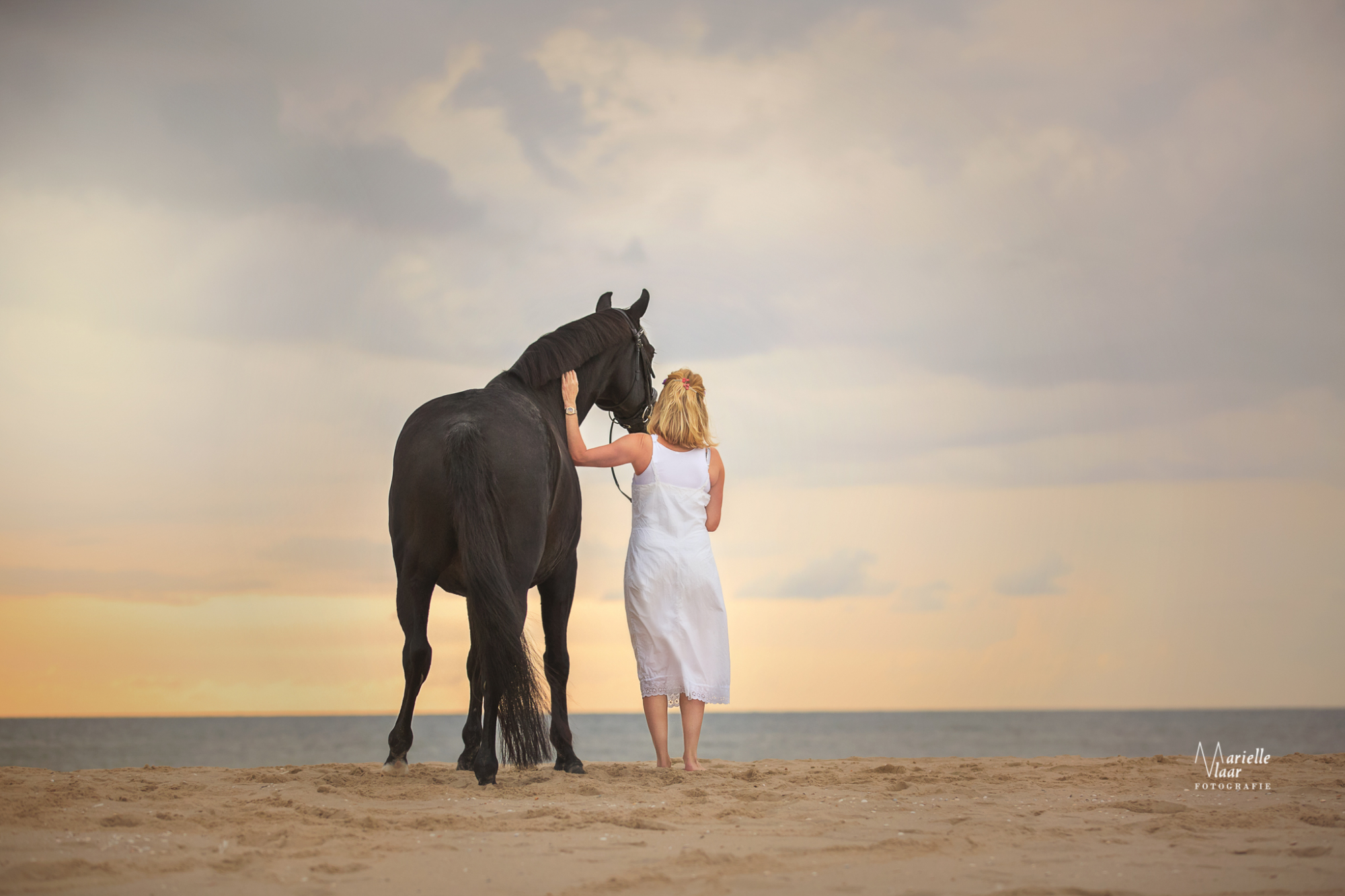 Paardenfotografie op het strand