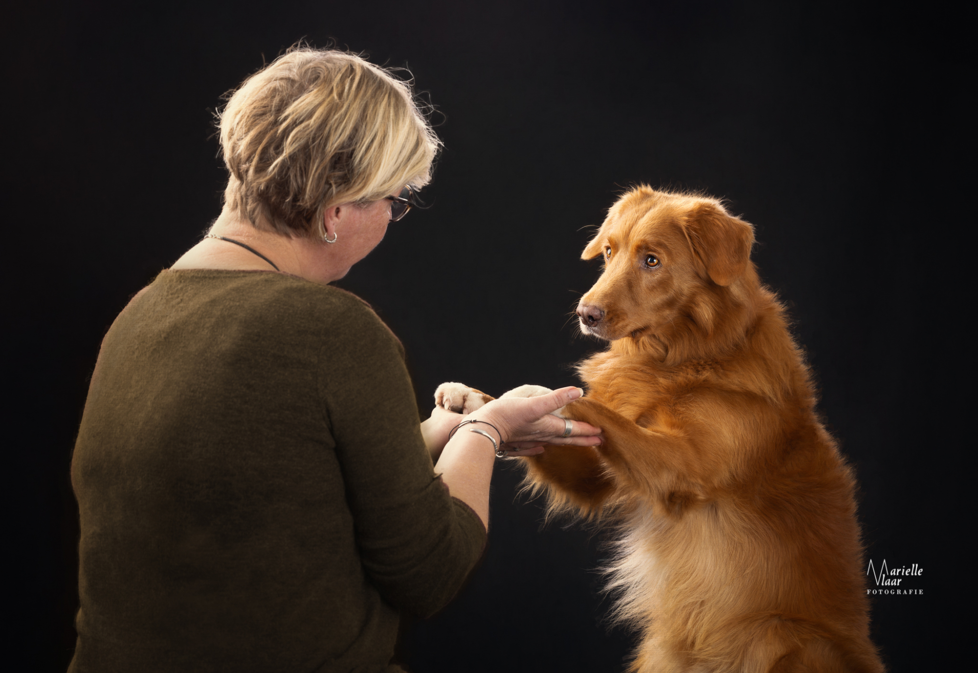 Hondenfotograaf, Honden in studio, Fineart hondenfotograaf, Noordholland, schilderachtig foto hond, hondenfotografie