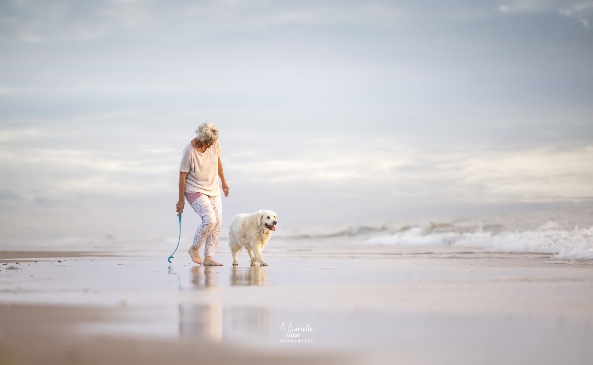 strand met hond, wandeling op strand met hond, fotoshoot met hond